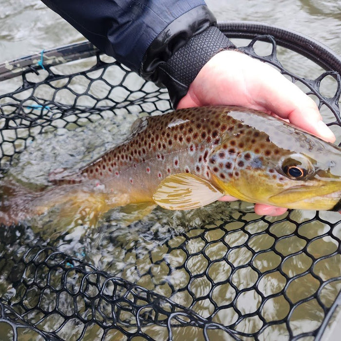 Mono Rig Streamer Fishing