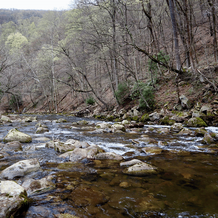 Heavy Water Anglers Lodge Trip Recap