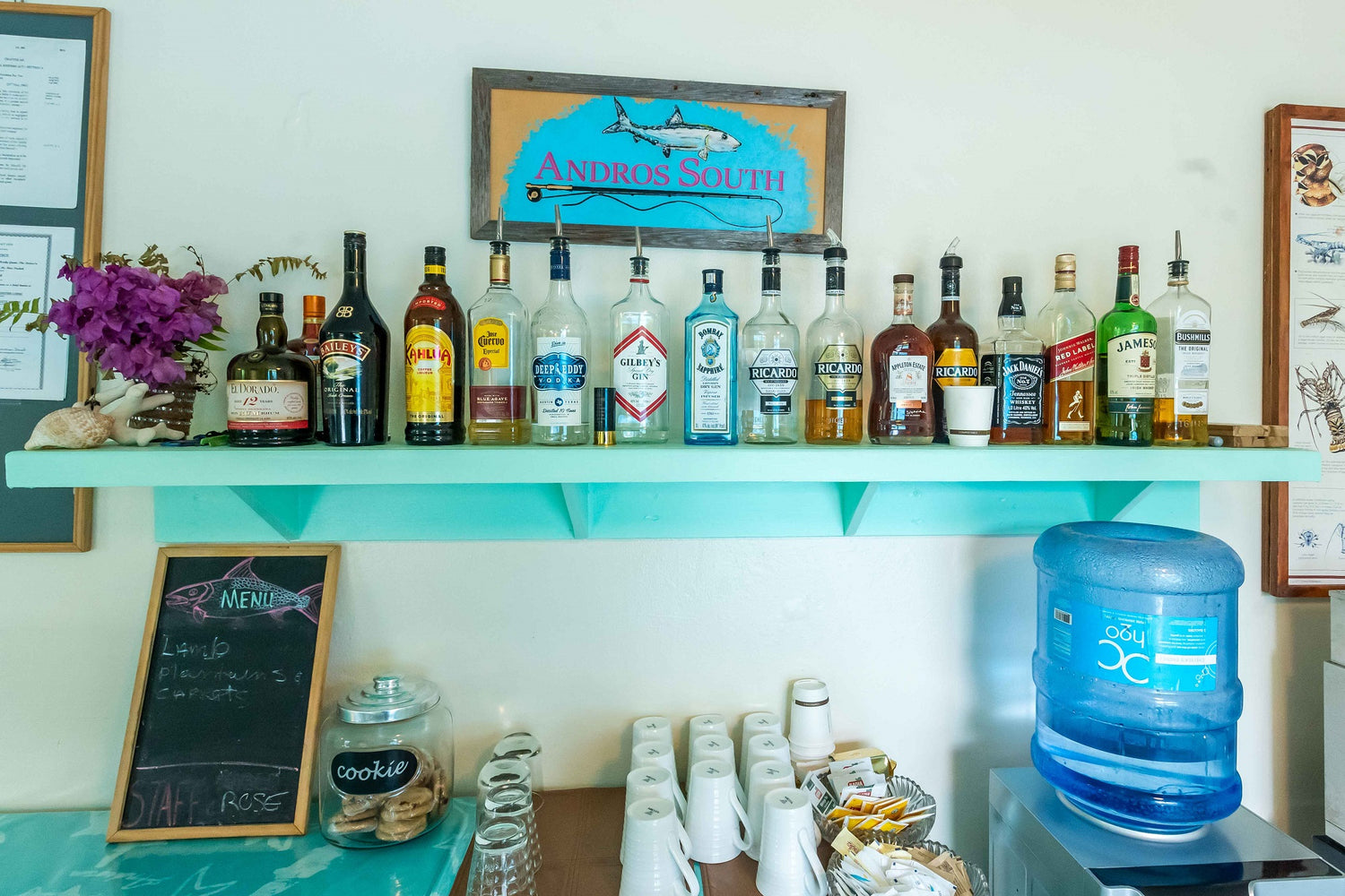 Accommodation and Meals